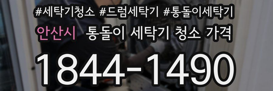 안산시 통돌이 세탁기 청소 가격