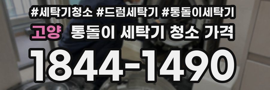 고양 통돌이 세탁기 청소 가격