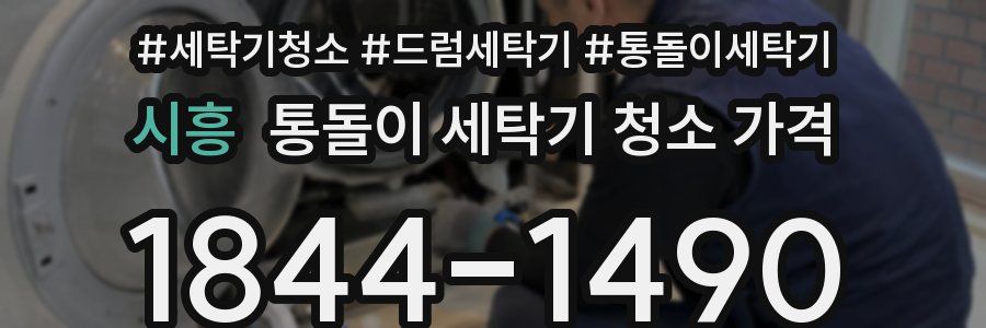 시흥 통돌이 세탁기 청소 가격