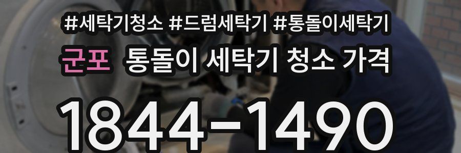 군포 통돌이 세탁기 청소 가격