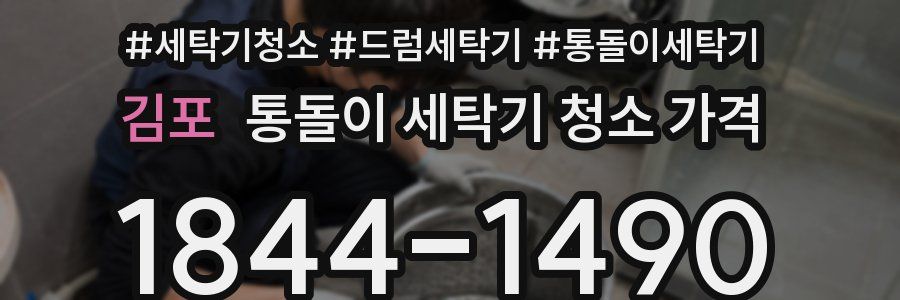 김포 통돌이 세탁기 청소 가격