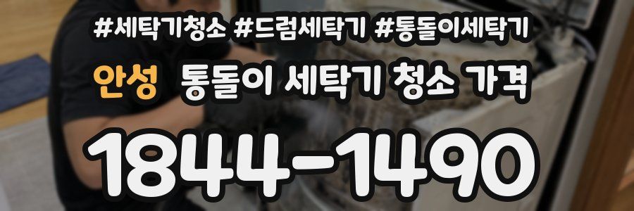 안성 통돌이 세탁기 청소 가격