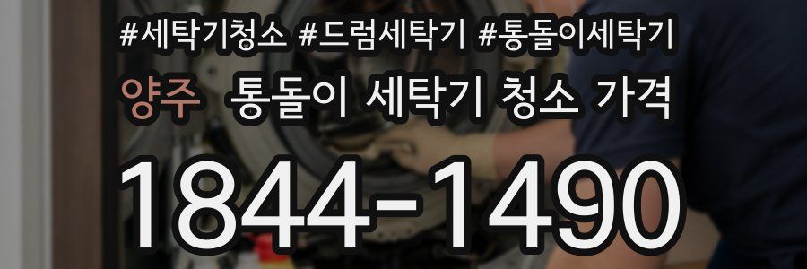 양주 통돌이 세탁기 청소 가격