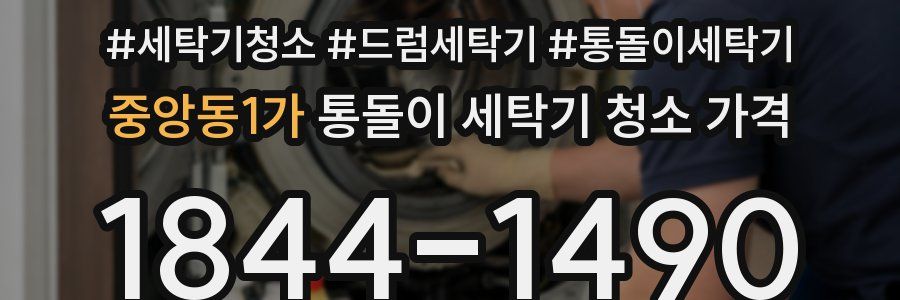 중앙동1가 통돌이 세탁기 청소 가격