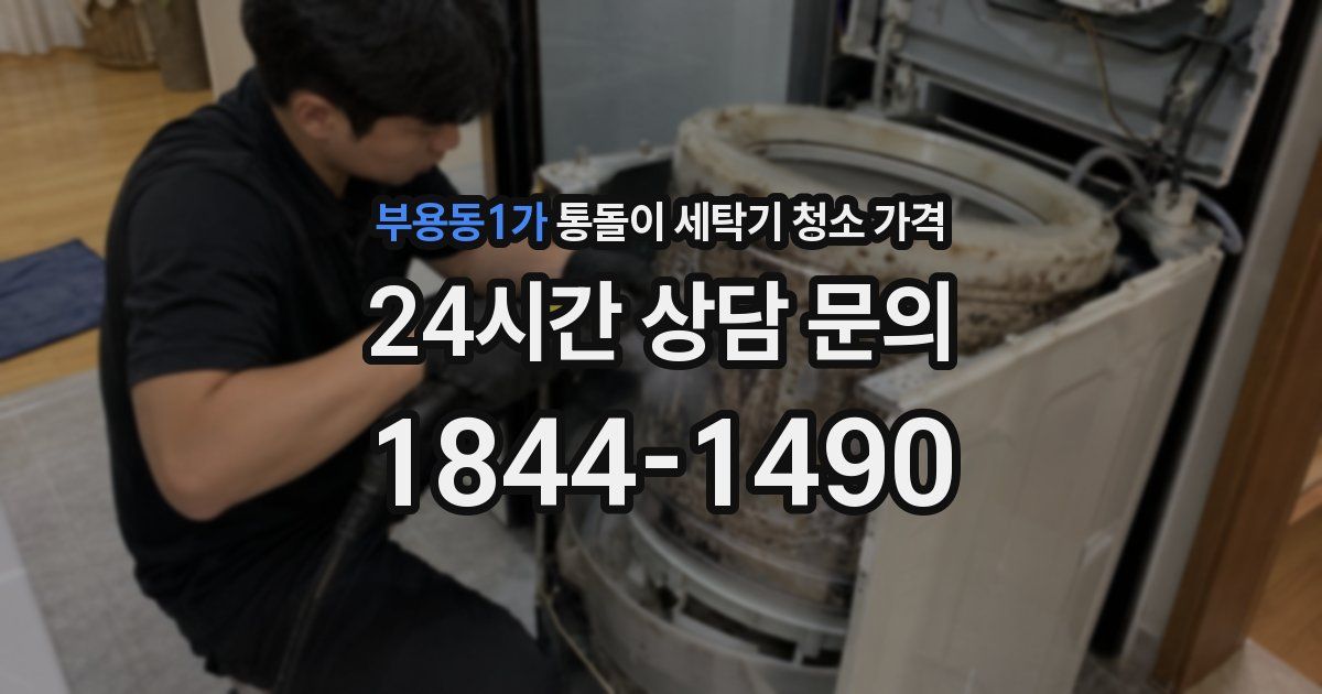 부용동1가 통돌이 세탁기 청소 가격