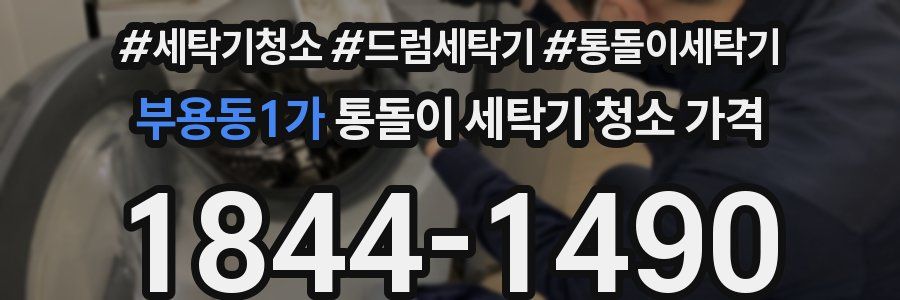 부용동1가 통돌이 세탁기 청소 가격