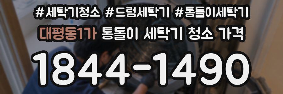 대평동1가 통돌이 세탁기 청소 가격