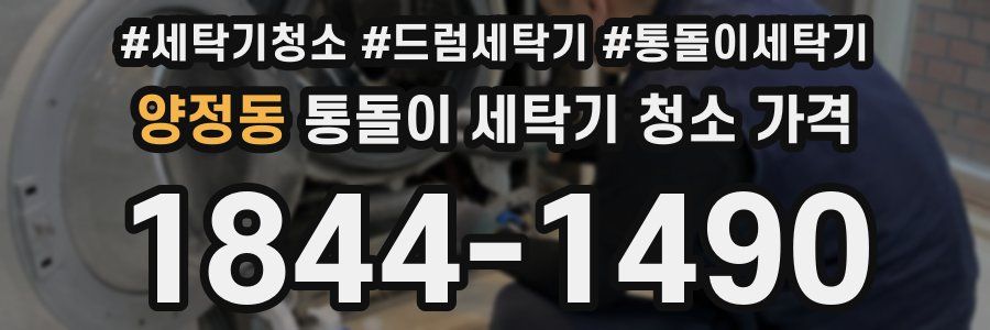 양정동 통돌이 세탁기 청소 가격