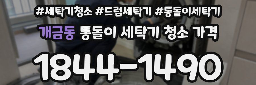 개금동 통돌이 세탁기 청소 가격