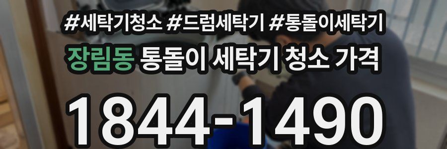 장림동 통돌이 세탁기 청소 가격