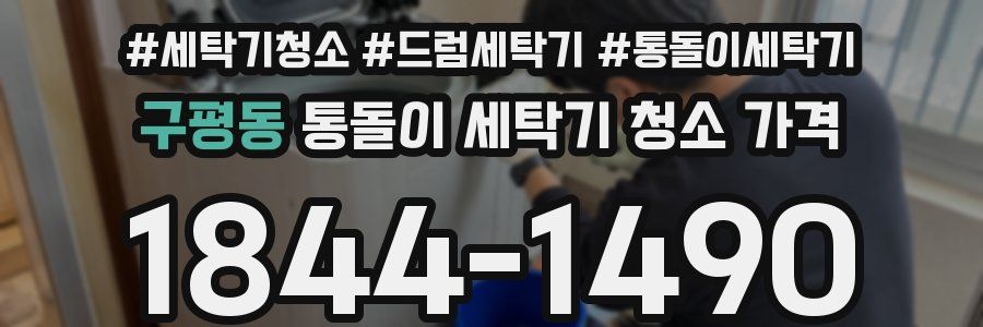 구평동 통돌이 세탁기 청소 가격