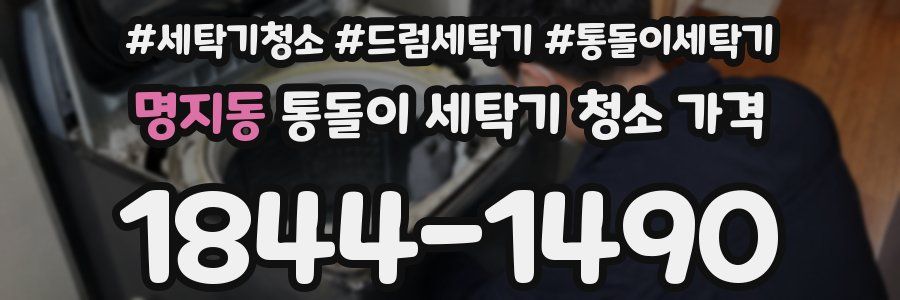 명지동 통돌이 세탁기 청소 가격