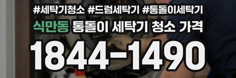 식만동 통돌이 세탁기 청소 가격