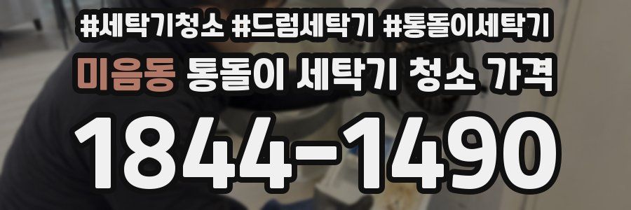 미음동 통돌이 세탁기 청소 가격