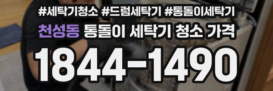 천성동 통돌이 세탁기 청소 가격