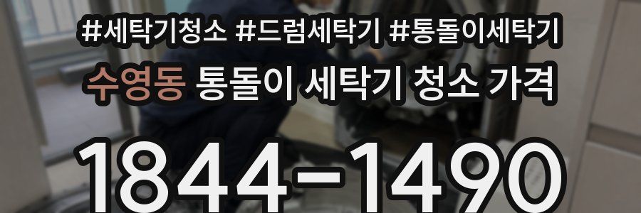 수영동 통돌이 세탁기 청소 가격