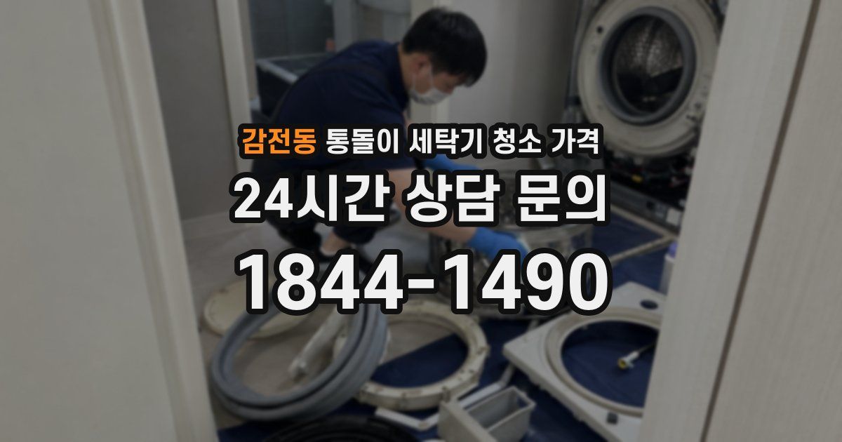 감전동 통돌이 세탁기 청소 가격
