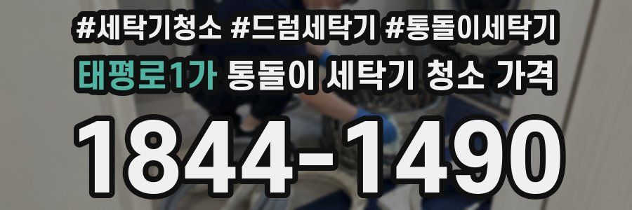 태평로1가 통돌이 세탁기 청소 가격