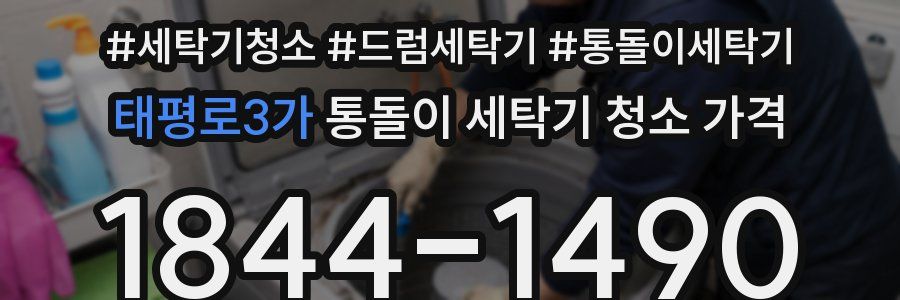 태평로3가 통돌이 세탁기 청소 가격