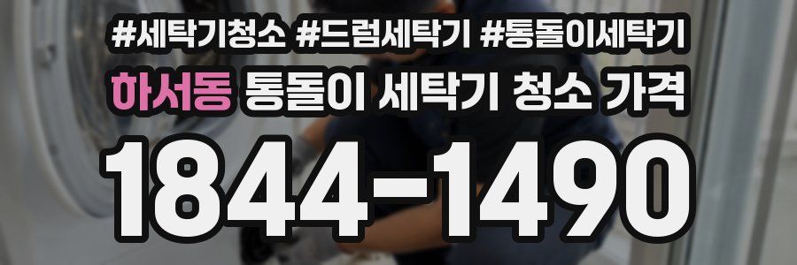 하서동 통돌이 세탁기 청소 가격