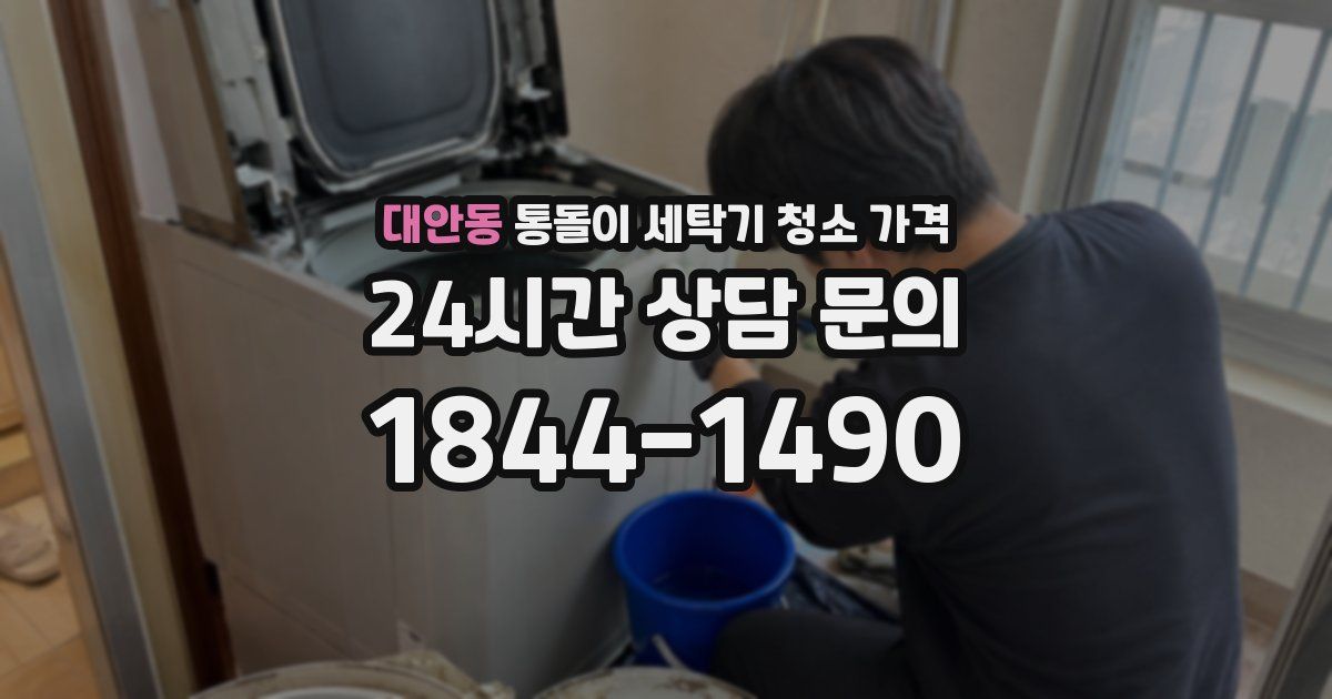 대안동 통돌이 세탁기 청소 가격