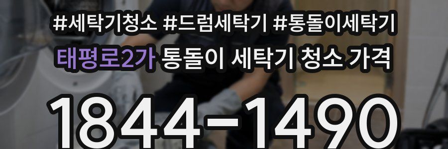태평로2가 통돌이 세탁기 청소 가격