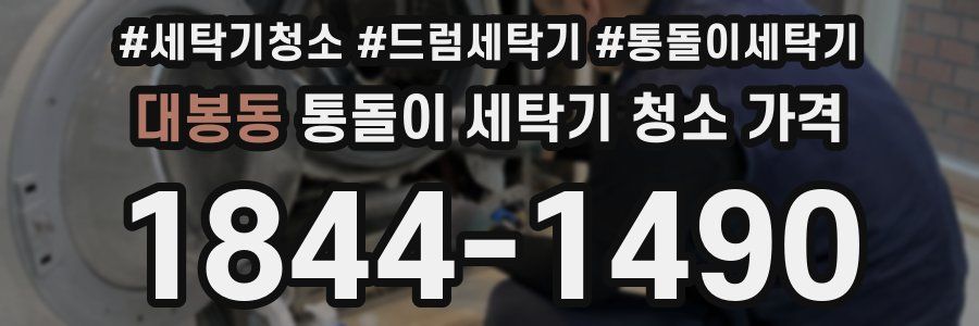 대봉동 통돌이 세탁기 청소 가격