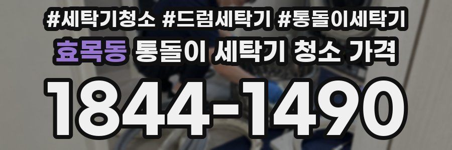 효목동 통돌이 세탁기 청소 가격