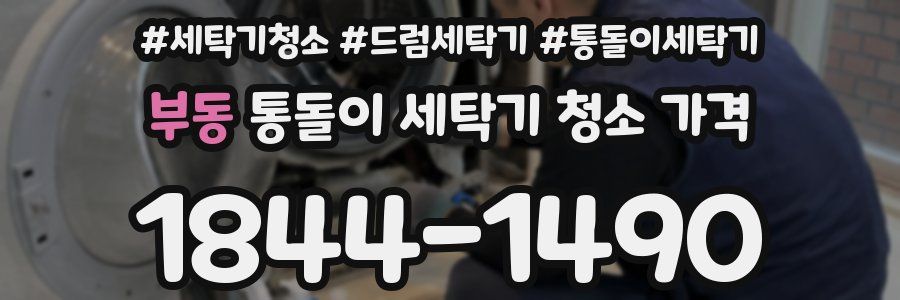 부동 통돌이 세탁기 청소 가격
