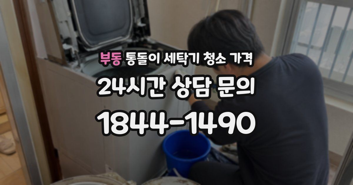 부동 통돌이 세탁기 청소 가격