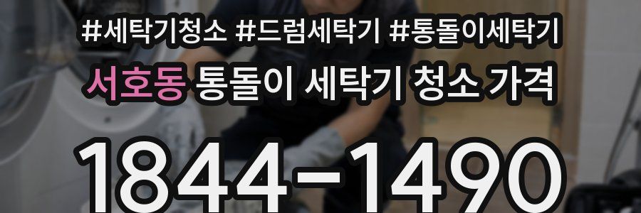 서호동 통돌이 세탁기 청소 가격