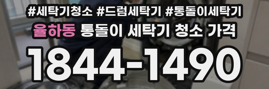 율하동 통돌이 세탁기 청소 가격