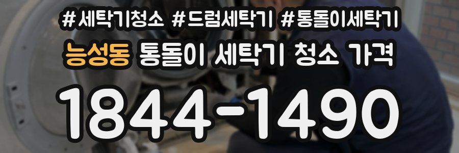 능성동 통돌이 세탁기 청소 가격