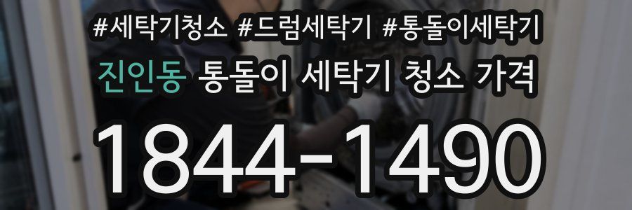 진인동 통돌이 세탁기 청소 가격