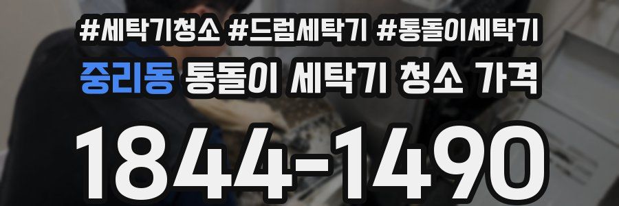 중리동 통돌이 세탁기 청소 가격