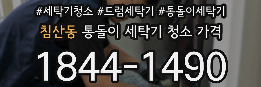 침산동 통돌이 세탁기 청소 가격