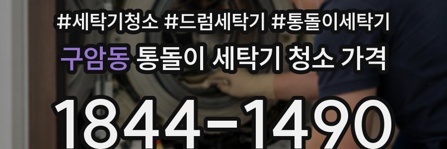 구암동 통돌이 세탁기 청소 가격