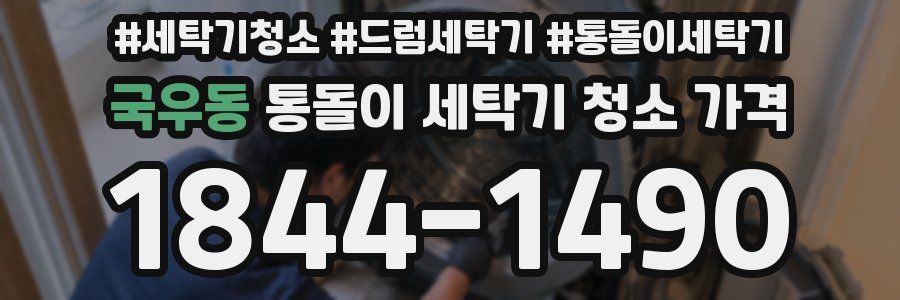 국우동 통돌이 세탁기 청소 가격