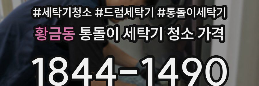 황금동 통돌이 세탁기 청소 가격