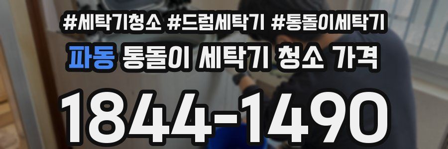파동 통돌이 세탁기 청소 가격