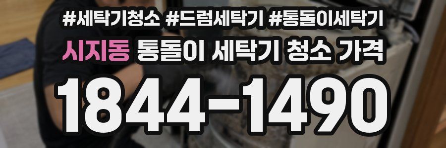 시지동 통돌이 세탁기 청소 가격