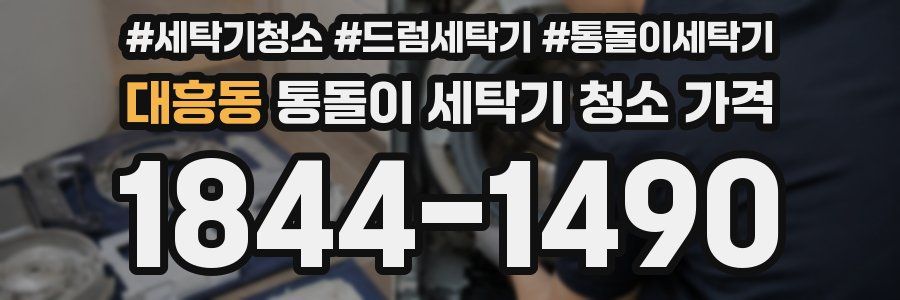 대흥동 통돌이 세탁기 청소 가격
