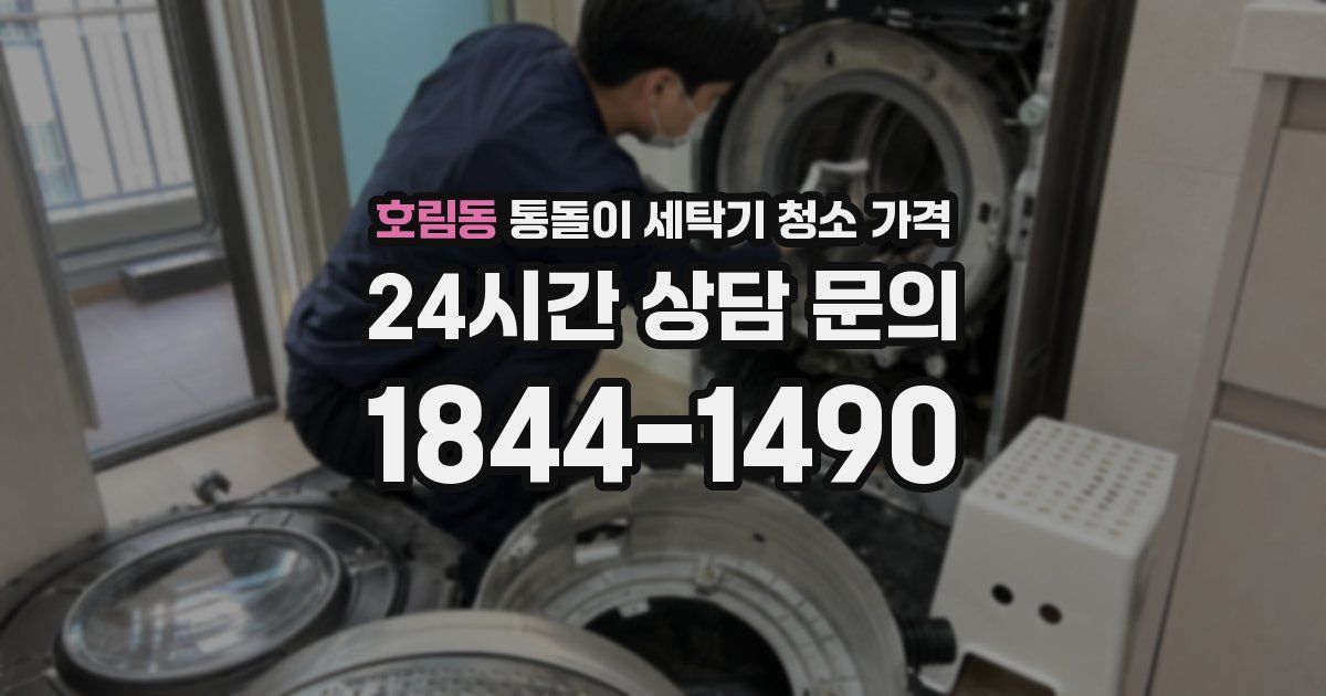 호림동 통돌이 세탁기 청소 가격
