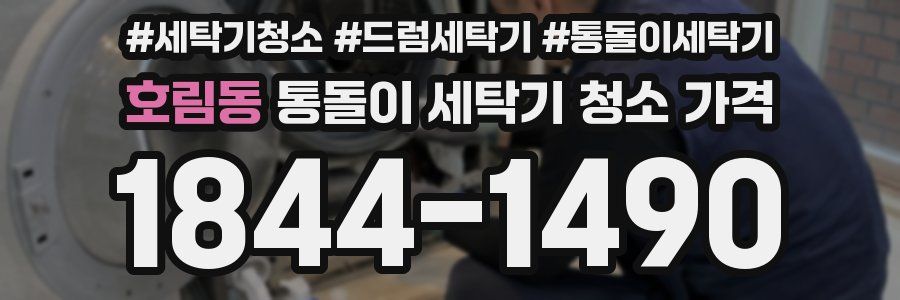 호림동 통돌이 세탁기 청소 가격