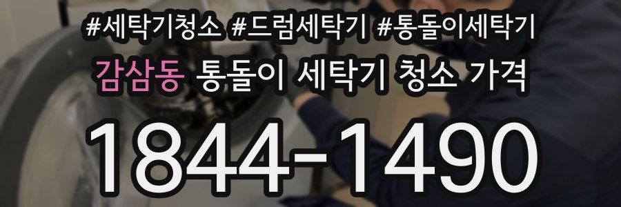 감삼동 통돌이 세탁기 청소 가격