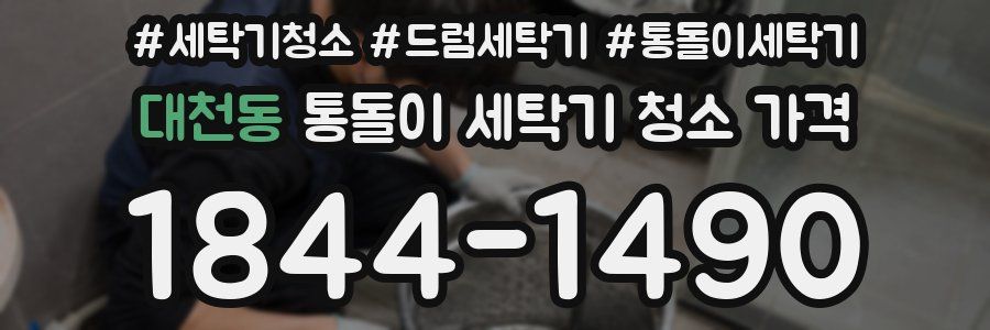 대천동 통돌이 세탁기 청소 가격