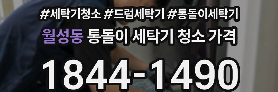월성동 통돌이 세탁기 청소 가격