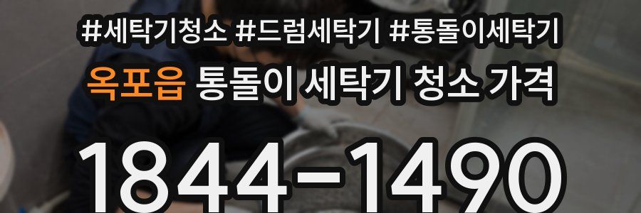 옥포읍 통돌이 세탁기 청소 가격