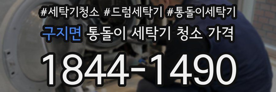 구지면 통돌이 세탁기 청소 가격