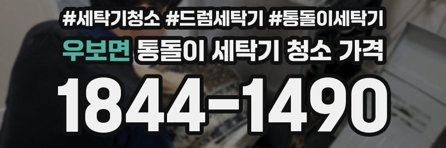 우보면 통돌이 세탁기 청소 가격
